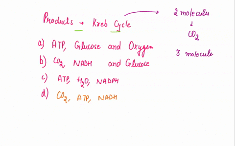 which-of-the-following-are-products-of-the-krebs-cycle-atp-glucose-and-oxygen-carbon-dioxide-nadh-and-glucose-atp-water-and-nadph-its-not-b-for-sure-carbon-dioxide-nadh-and-atp-00764