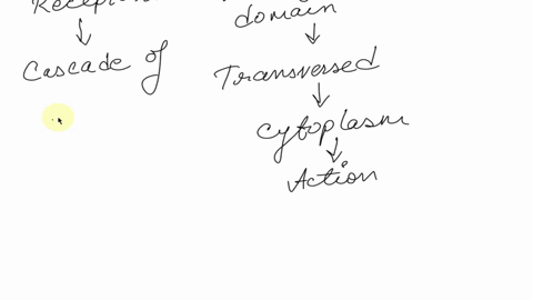 19-what-do-steroid-hormones-and-peptide-hormones-have-in-common-select-one-a-they-are-both-made-up-of-the-same-type-of-chemical-molecules-b-both-can-cross-cell-membranes-c-both-need-to-be-tr-03358
