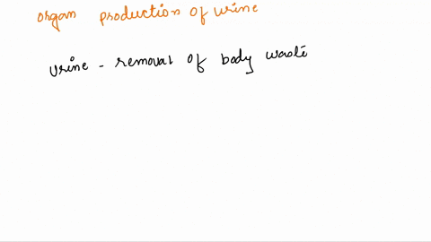 which-organ-is-responsible-for-the-production-of-urine-kidneys-bladder-dancmeac-21695