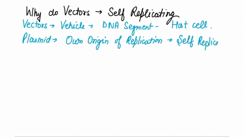 why-do-vectors-need-to-be-self-replicating-32795