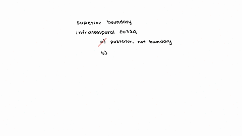 the-superior-boundary-of-infratemporal-fossa-is-a-styliod-process-and-its-attached-muscles-b-infratemporal-surface-of-greater-wing-of-spheniodal-bone-c-posterior-aspect-of-maxilla-d-lateral-surface-of