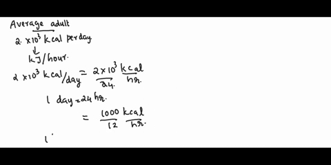 the-average-adult-human-burns-200x203-kcal-per-day-in-energy-what-is-this-rate-in-kj-per-hour-68405