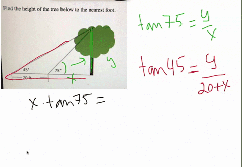 find-the-height-of-the-tree-below-to-the-nearest-foot