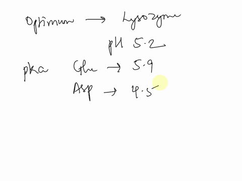 the-enzymatic-activity-of-lysozyme-is-optimal-at-ph-52-but-decreases-above-or-below-this-ph-the-pka-for-the-carboxyl-side-chains-of-glu35-and-asp52-at-the-active-site-of-lysozyme-are-59-and-36328