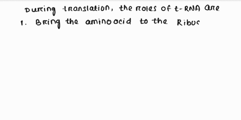 during-translation-what-role-is-performed-by-trna-38272