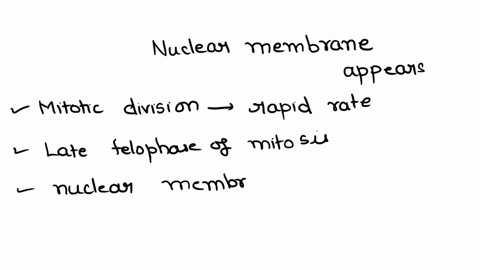 during-cell-division-in-apical-meristem-the-nuclear-membrane-appears-in-a-telophase-b-cytokinesis-c-metaphase-d-anaphase-01655