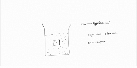 a-cell-is-placed-in-a-solution-with-a-higher-solute-concentration-a-hypertonic-solution-than-the-inside-of-the-cell-what-will-happen-to-the-cell-15372
