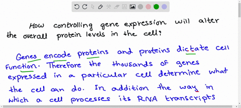 describe-how-controlling-gene-expression-will-alter-the-overall-protein-levels-in-the-cell-2-74036
