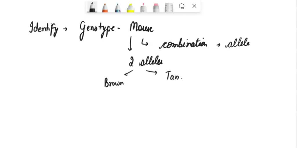 A homozygous dominant brown mouse is crossed with a heterozygous brown ...