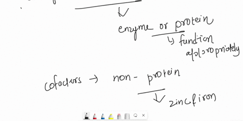how-do-cofactors-and-coenzymes-assist-in-the-functioning-of-enzymes-what-is-the-difference-between-cofactors-and-coenzymes-64055