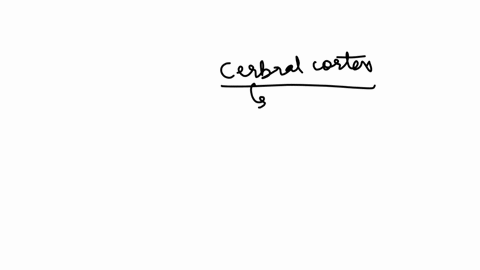 8-sound-is-generally-perceived-in-the-cerebral-cortex-of-the-occipital-lobe-true-false