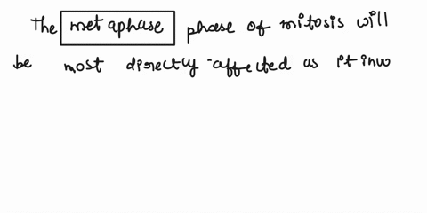 1cancer-drugs-target-the-process-of-mitosis-a-cell-in-the-process-of-dividing-is-subjected-to-a-drug-that-interferes-with-the-mitotic-spindle-which-phase-of-mitosis-do-you-think-will-be-most-03386
