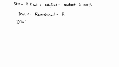 cuno0-10-strain-b-e-coli-cells-were-coinfected-with-rli-mutants-x-and-y-progeny-phage-plated-in-a-dilution-series-on-both-e-coli-b-and-k-gave-the-following-results-pe-fmus-bacterial-number-o-19792