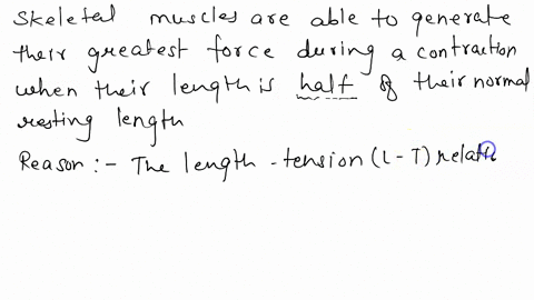 skeletal-muscles-are-able-to-generate-their-greatest-force-during-a-contraction-when-their-length-is-____________-of-their-normal-resting-length-56161