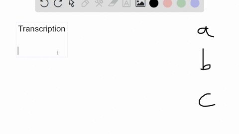 place-the-following-steps-of-transcription-in-order-1-the-instructions-contained-in-a-gene-are-transcribed-as-an-mrna-molecule-2-mrna-leaves-the-cell-nucleus-and-arrives-in-the-cytoplasm-3-m-73575
