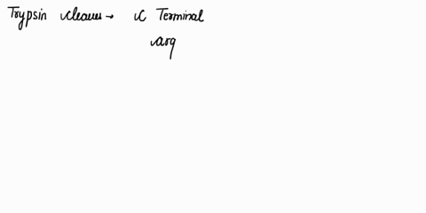 under-experimental-conditions-you-purify-known-biologically-important-peptide-from-human-tissue-to-determine-the-overall-sequence-you-then-digest-the-pure-peptide-with-trypsin-and-chymotryps-28143