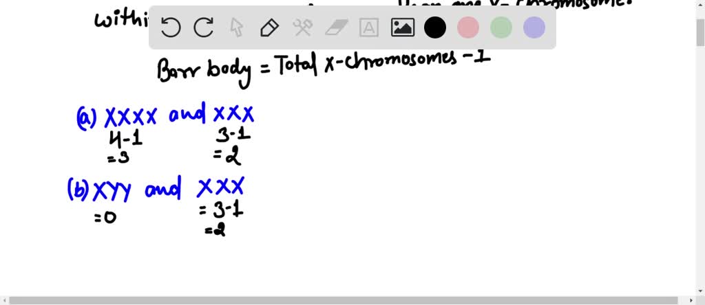 Xy Xx Xxx Video - SOLVED: Which combinations of human sex chromosome karyotypes have the same  number of Barr bodies? XXXX and XXX XYY and XXX XX and XXY XXX and XX XXX  and XXY XY and
