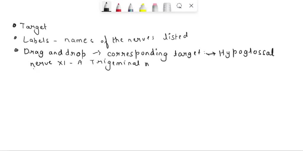 SOLVED: Art-labeling activity: Figure 13.6a (2 of 2) Ch 13 HW An ...