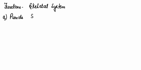 16the-functions-of-the-respiratory-system-in-the-human-body-include-the-following-gaseous-exchange-of-oxygen-and-carbon-dioxide-b-air-distributor-for-the-body-c-involved-in-the-process-of-re-34643