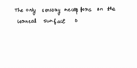 question-28-which-type-of-sensory-receptors-are-the-only-ones-on-the-corneal-surface-of-the-eye-meissner-corpuscle-merkel-disc-opacinian-corpuscle-o-free-nerve-ending-72048