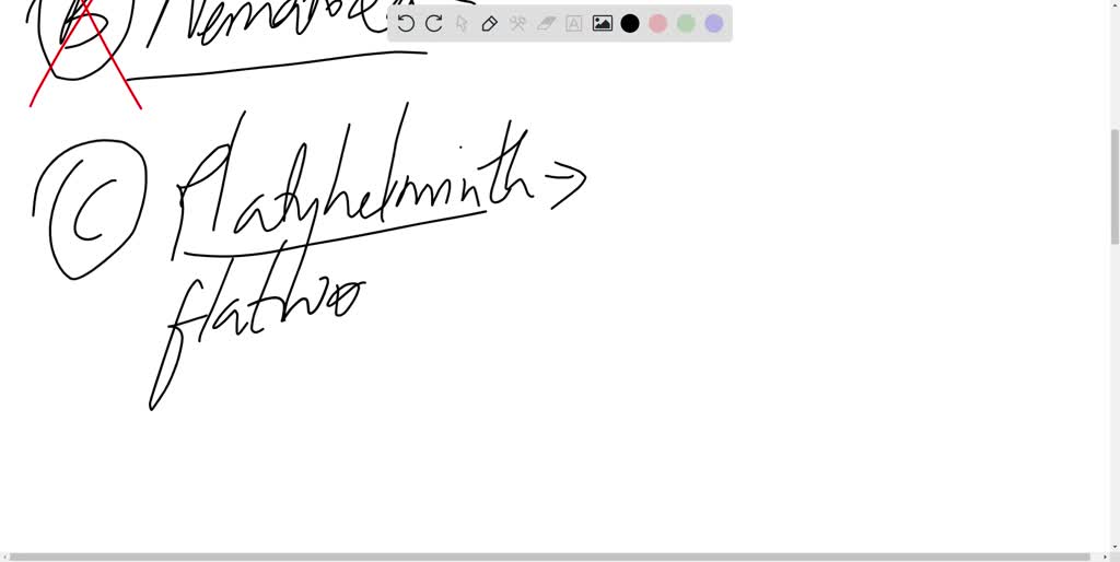 SOLVED Which feature do Porifera; Cnidaria and Platyhelminthes share