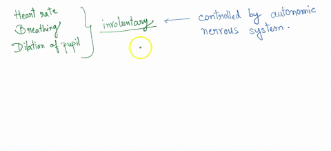 use-the-following-information-t0-answer-tha-next-question-poveraphs-ledetectors-monltor-some-changes-in-some-actvities-of-the-system-in-theory-an-emotionally-stressful-situation-iike-telling-83538