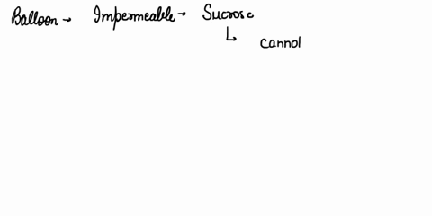in-the-lab-you-use-a-special-balloon-that-is-permeable-to-water-but-not-sucrose-to-make-an-artificial-cell-the-balloon-is-filled-with-a-solution-of-20-sucrose-and-80-water-and-is-immersed-in-62223
