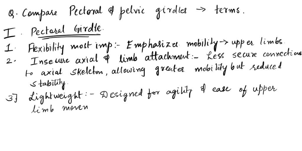 SOLVED: START HERE: Bones of the Pelvic Girdle and Lower Limb 9. Compare  the pectoral and pelvic girdles by choosing appropriate descriptive terms  from the key: a. flexibility most important - insecure