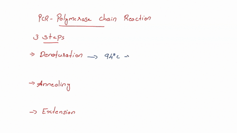 which-of-the-following-best-describes-the-complete-sequence-of-steps-in-order-occurring-during-every-cycle-of-pcr-the-primers-bind-to-the-template-dna-2-the-pcr-mixture-is-heated-to-high-tem-13849