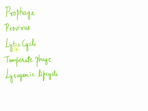 please-define-the-following-terms-match-the-terms-with-their-corresponding-definitions-prophage-provirus-lytic-cycle-temperate-phage-lysogenic-lifecycle-a-virus-that-is-able-to-incorporate-i-00744