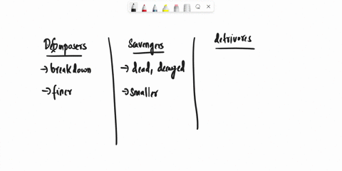 2-decomposers-detrivores-and-scavengers-feed-on-dead-organic-material-how-are-decomposers-different-from-scavengers-and-detrivores-a-decomposers-only-eat-recently-dead-organisms-while-detriv-77487
