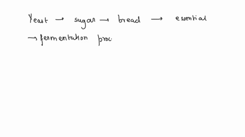 bread-making-involves-ethanol-fermentation-and-typically-uses-yeast-sugar-flour-and-water-why-are-ye-98927
