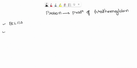 1-what-protein-switches-off-the-production-of-fetalhemoglobin-after-birth2-complete-the-following-sentences-by-circling-the-correctterm-in-parentheseswhen-bcl11a-protein-production-is-high-t-20264