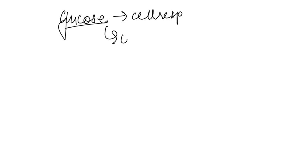 sucrose is the primary source of energy for most cells