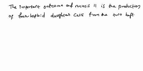 what-is-the-important-outcome-of-meiosis-2-44941