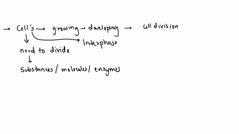 write-a-short-story-from-a-cells-point-of-view-the-cell-is-growing-and-developing-and-getting-ready-for-cell-division-your-story-should-be-at-least-200-words-long-and-contain-information-abo-34274