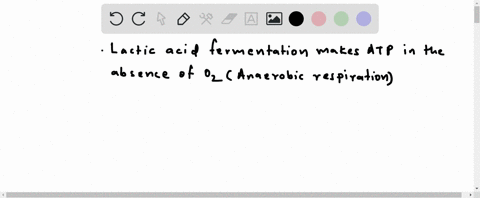 what-is-the-metabolic-purpose-of-lactic-acid-production-3-45006
