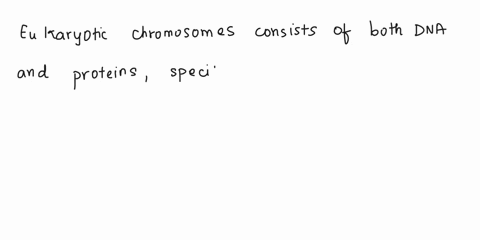 which-statement-about-eukaryotic-chromosomes-is-not-true-a-they-sometimes-consist-of-two-chromatid-2-82073