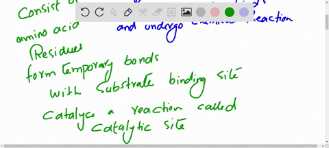 explain-the-nature-of-enzyme-active-sites-in-detail-with-examples-79338