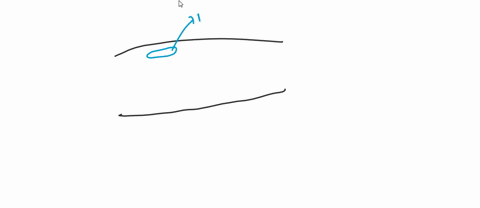 name-the-structure-arrow-tip-in-the-muscle-cell-18046