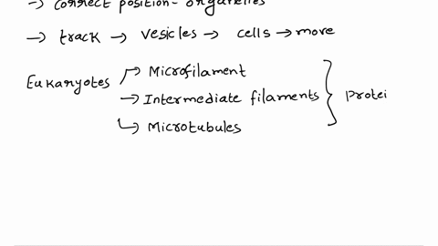 2-which-of-the-following-describes-the-cytoskeleton-a-a-web-of-proteins-that-gives-shape-and-support-to-the-cell-b-a-membrane-bound-organelle-that-contains-genetic-material-c-the-outer-cover-73626