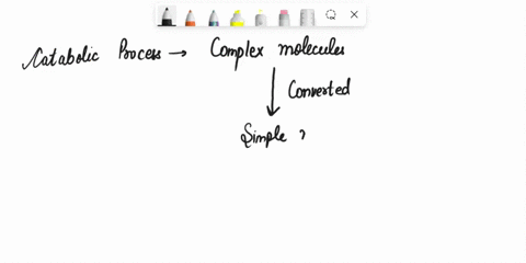 which-is-true-regarding-catabolic-processes-overall-such-processes-require-net-energy-input-b-they-generally-lead-to-the-formation-of-larger-complex-molecules-c-such-processes-are-typically-65366