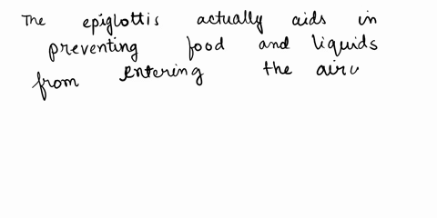 which-of-the-following-is-not-true-about-deglutition-swallowing-all-of-the-above-answers-are-correct-the-involuntary-portion-of-swallowing-takes-place-in-the-pharynx-the-epiglottis-aids-in-m-54274