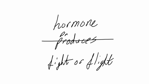 hormone-that-promotes-fight-or-flight-response