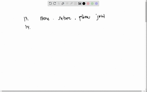 examine-the-bones-listed-below-and-describe-their-range-of-movement-and-type-of-joint-8-pts-joints-also-called-articulations-are-the-points-of-contact-between-bones_-they-are-attached-to-the-10336