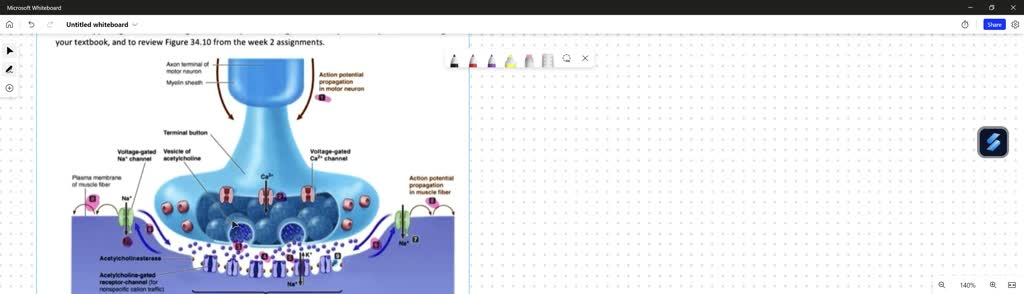 VIDEO solution: List the five stages of electrochemical