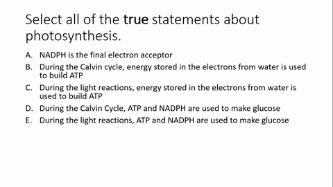 1-select-all-of-the-true-statements-about-photosynthesis-a-nadph-is-the-final-electron-acceptor-b-during-the-calvin-cycle-energy-stored-in-the-electrons-from-water-is-used-to-build-atp-c-dur-38007