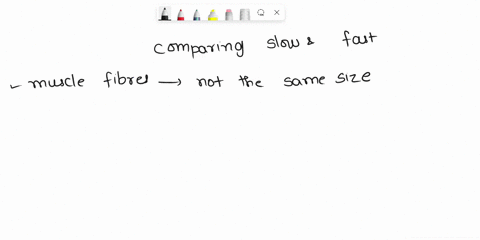 which-of-the-following-is-true-while-comparing-slow-type-i-vs-fast-type-ii-fibers-aboth-fiber-types-typically-have-the-same-size-diameters-b-fast-twitch-fibers-are-more-common-in-tonic-muscl-99151
