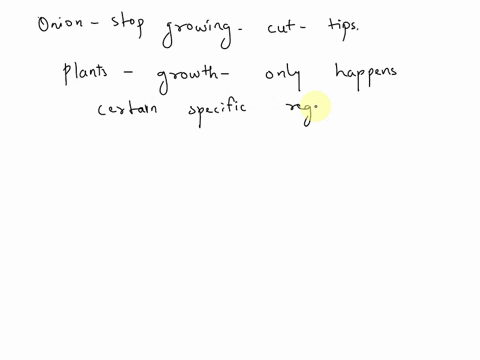 why-would-the-tips-of-onion-stop-growing-when-we-cut-them-53543