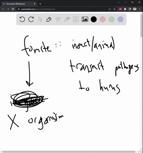 1each-term-is-paired-with-a-description-which-pair-is-incorrect-a-bacterium-single-celled-microorganism-b-fomite-insect-or-another-animal-that-transmits-pathogens-to-humans-c-virus-intracell-97441